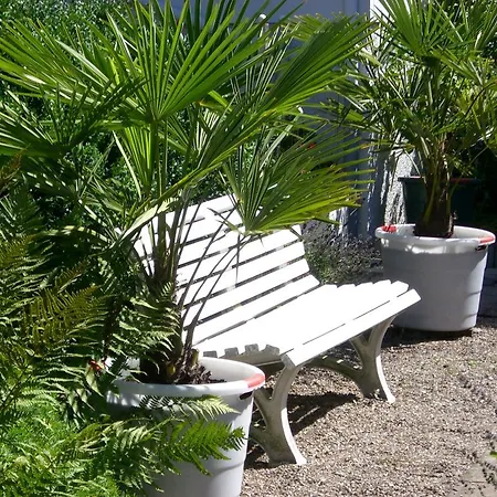 Appartement Am Kleinen Brunnen